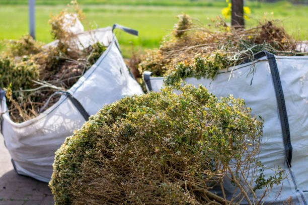 Best Yard Cleanup Services  in Hanceville, AL